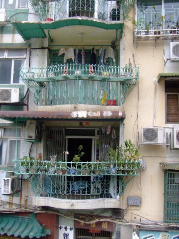 465.jpg