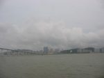470.jpg