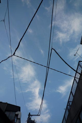774.jpg
